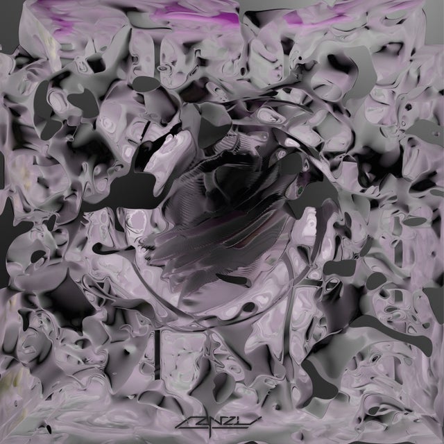 The Fly & The Spider album art