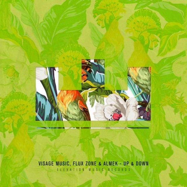 Up & Down album art