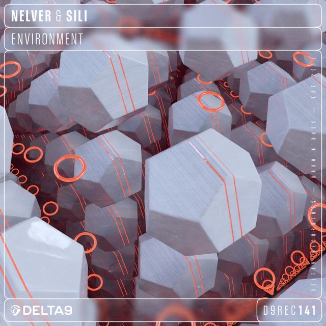 Environment album art