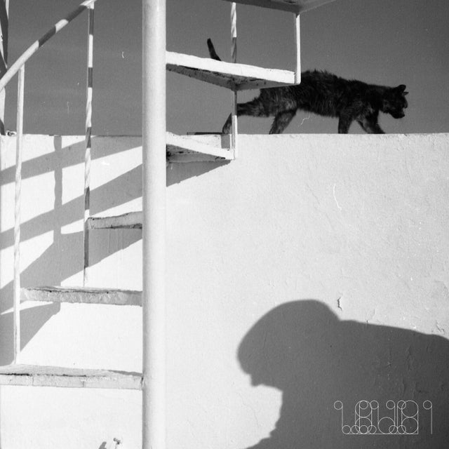Mogli album art