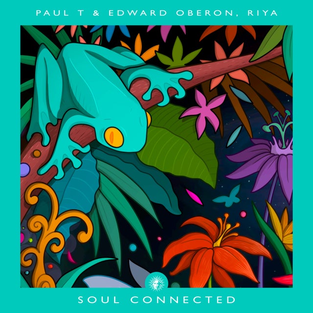 Soul Connected album art