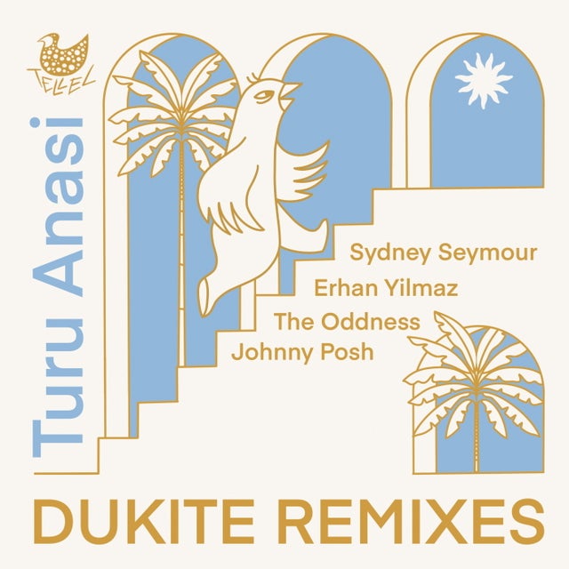 Sansula - Erhan Yılmaz Remix album art