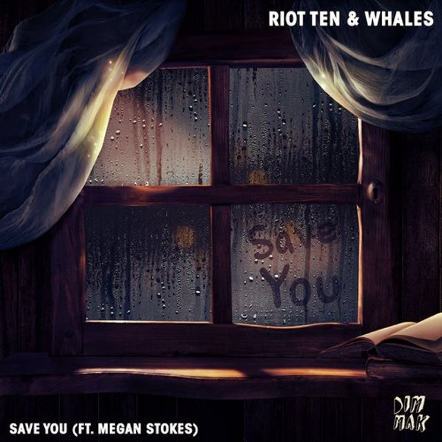 Save You (feat. Megan Stokes) album art