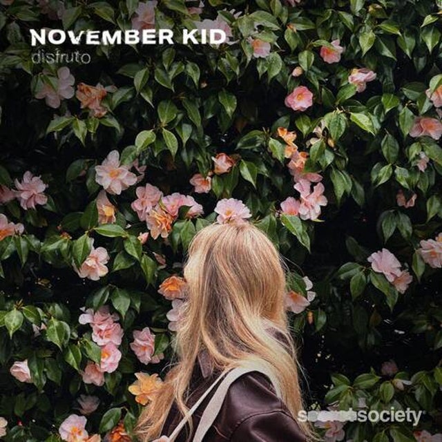 disfruto album art