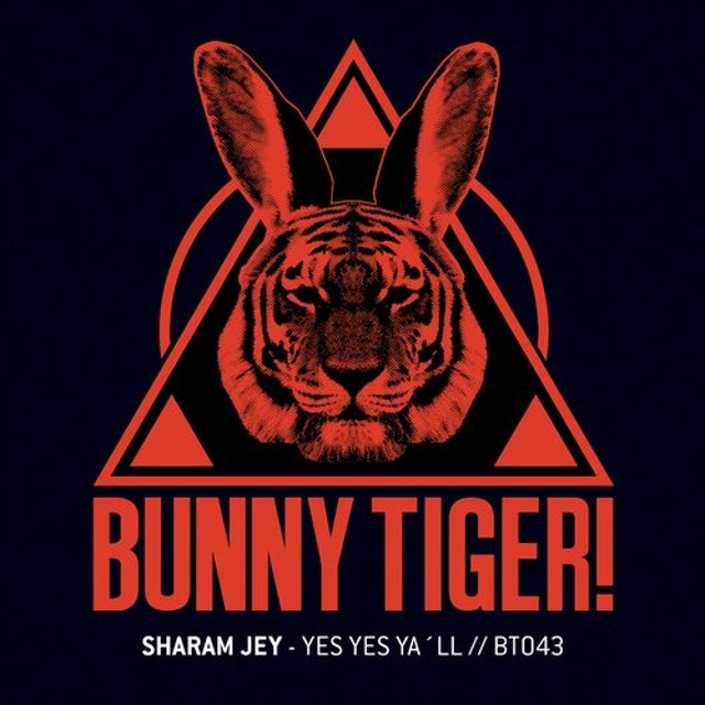 Yes Yes Ya'll album art