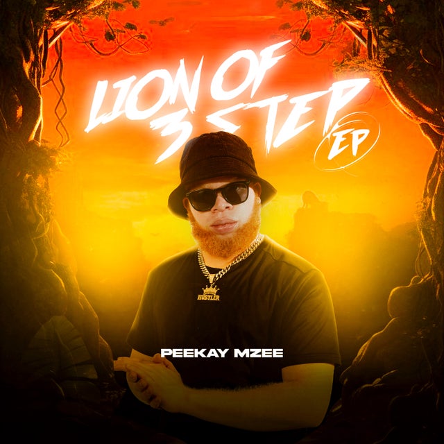 Pula Ya Mdantso album art