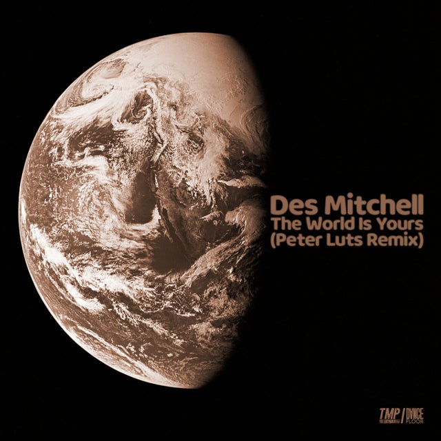 The World Is Yours - Peter Luts Remix album art