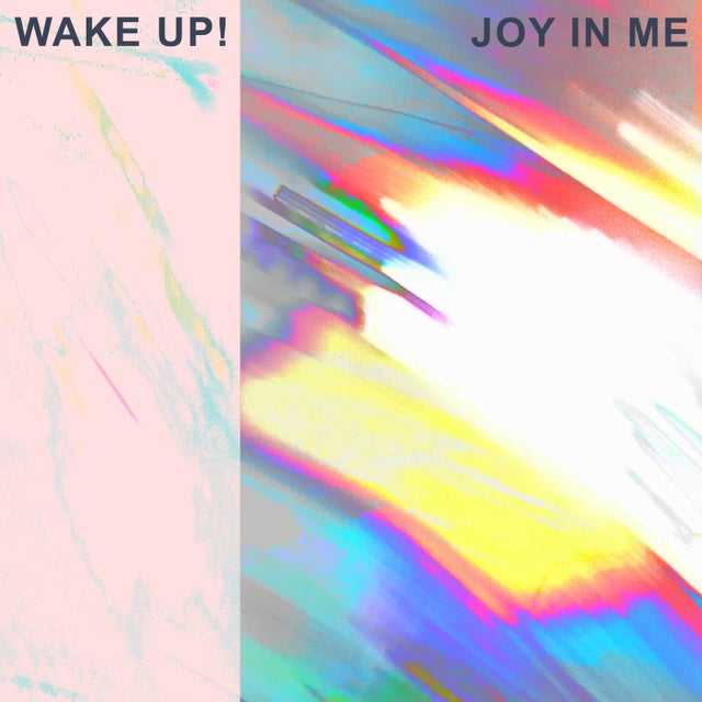 Joy in Me album art