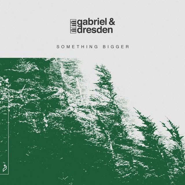 Something Bigger feat. Sub Teal - Extended Mix album art