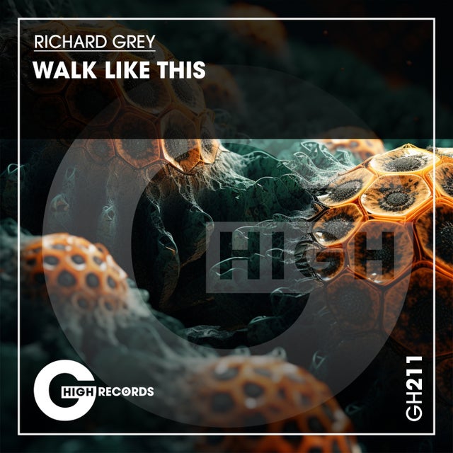 Walk Like This - Funky Tribal Mix album art