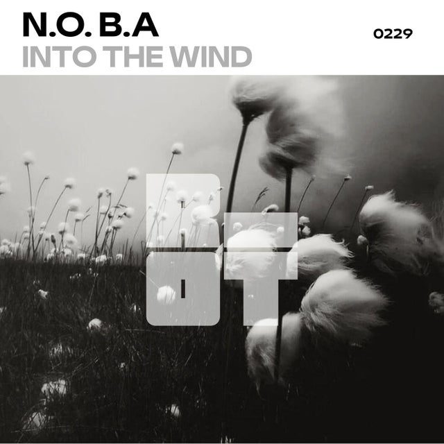 Into the Wind album art