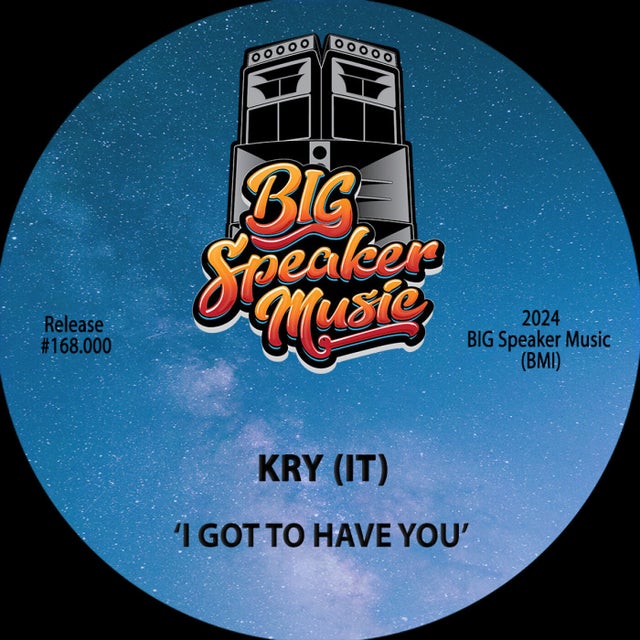 I Got To Have You - Extended Mix album art