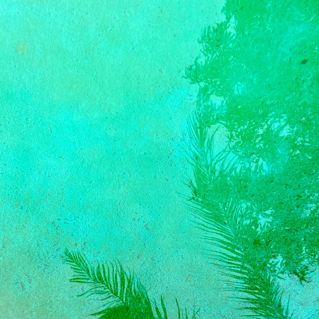 Spider Web album art