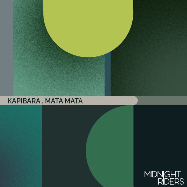 Squatina album art