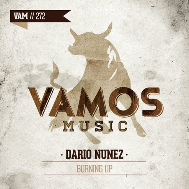 Burning Up album art