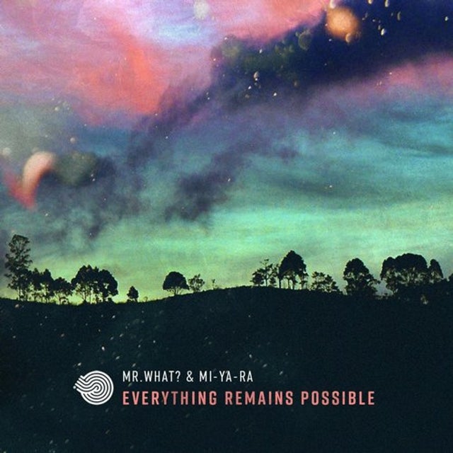 Everything Remains Possible album art