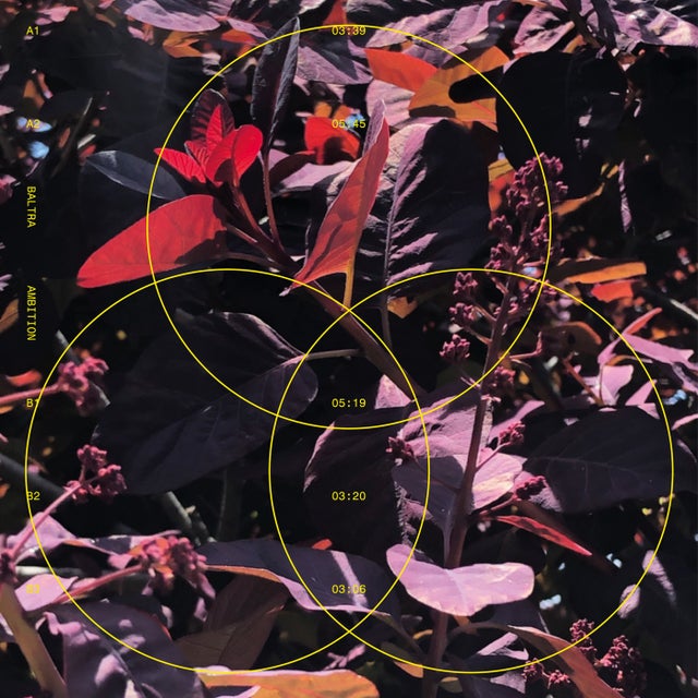 Work (It) Out - Extended Mix album art