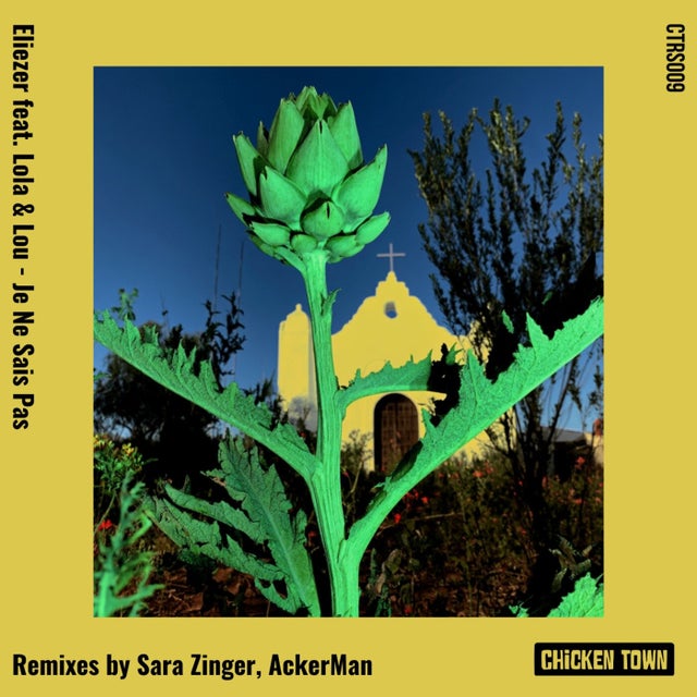 Je Ne Sais Pas album art