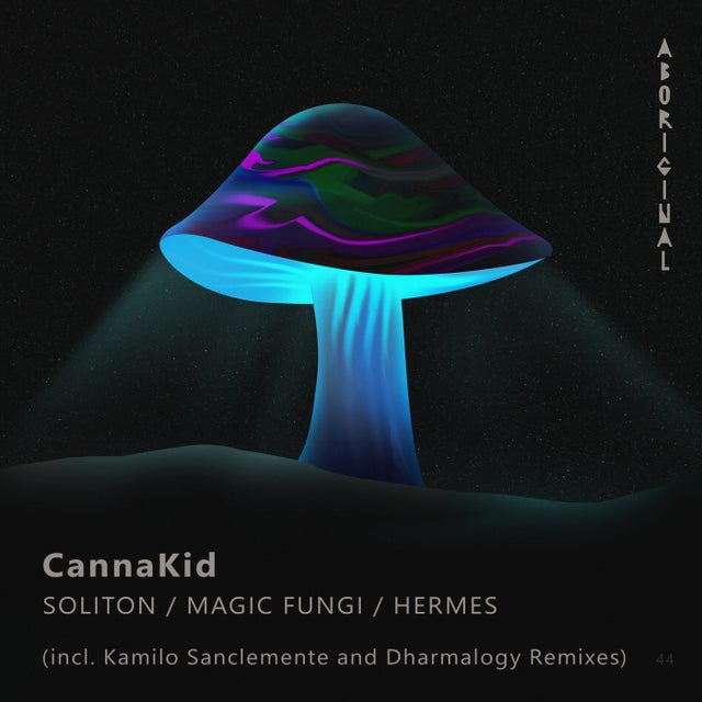 Magic Fungi album art