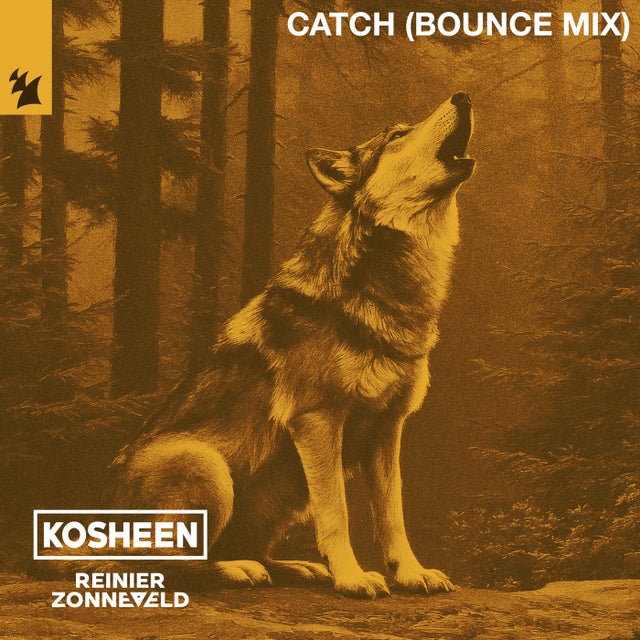 Catch - Bounce Extended Mix album art
