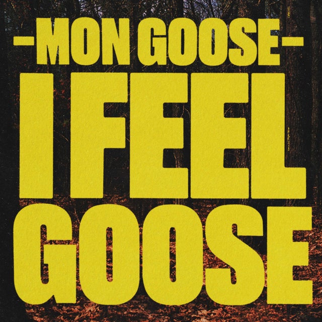 I Feel Goose (Lindstrøm Remix) album art
