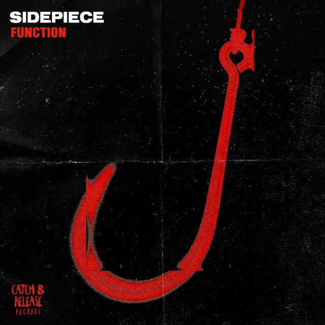 Function - Extended Mix album art