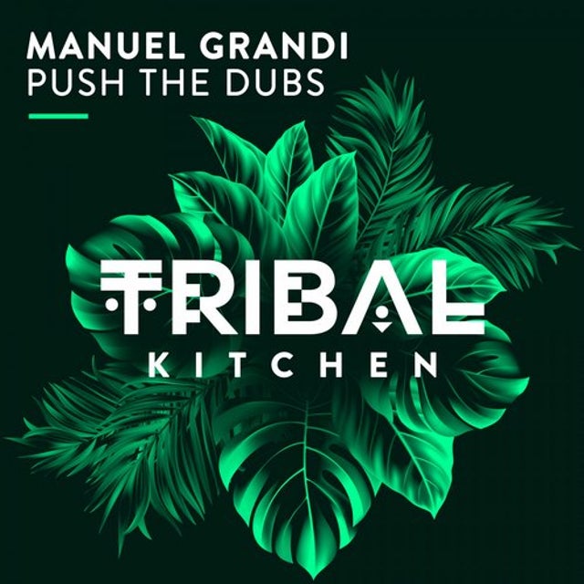 Push The Dubs album art