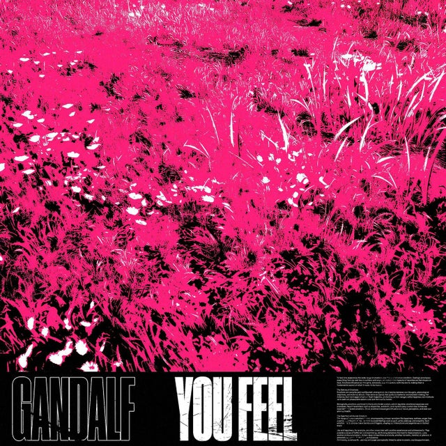 You Feel album art