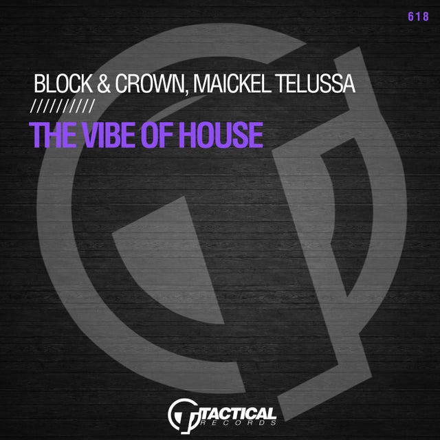 The Vibe Of House album art