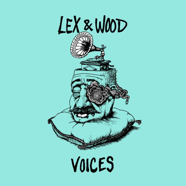 Voices album art