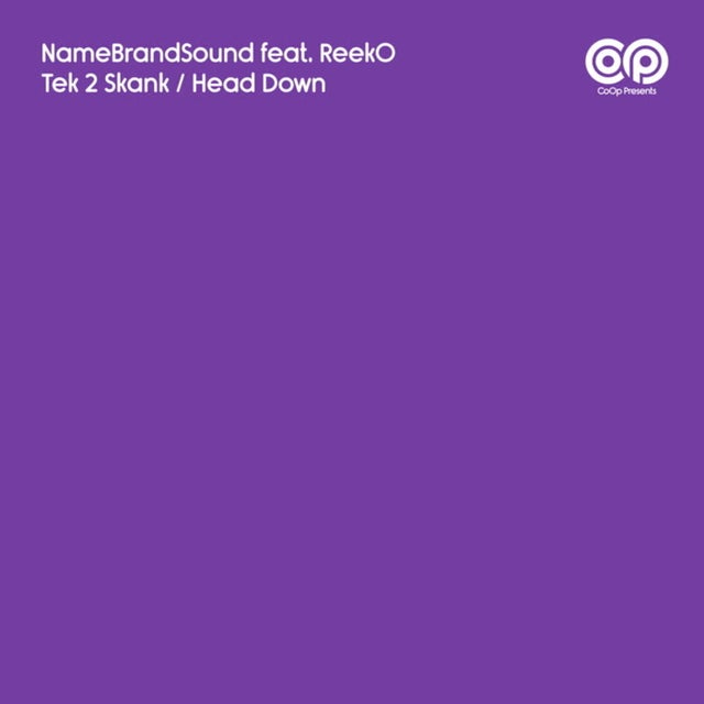 Tek 2 Skank album art