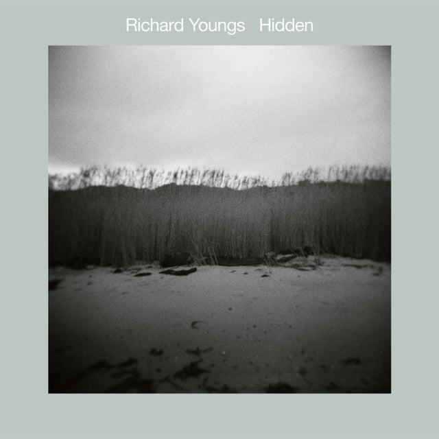 Hidden I album art