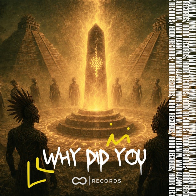 Why Did You album art