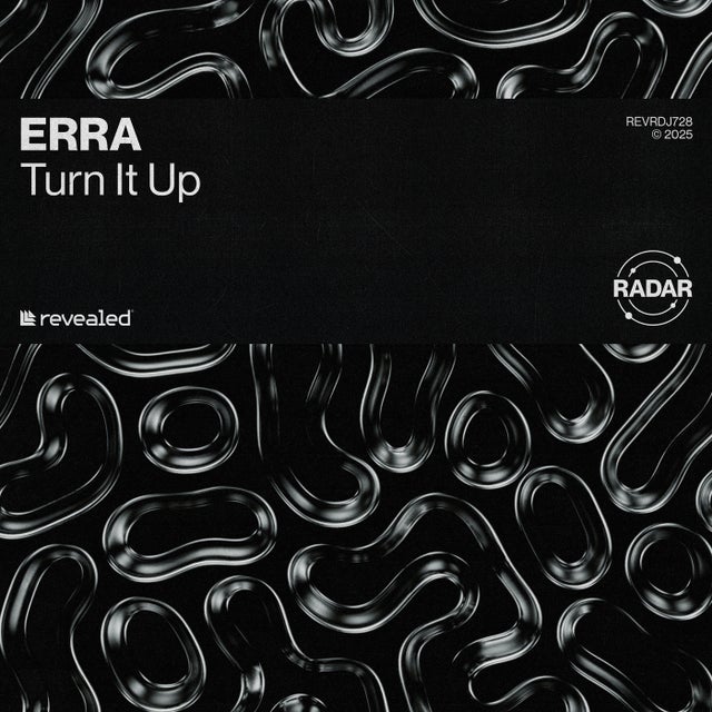Turn It Up - Extended Mix album art