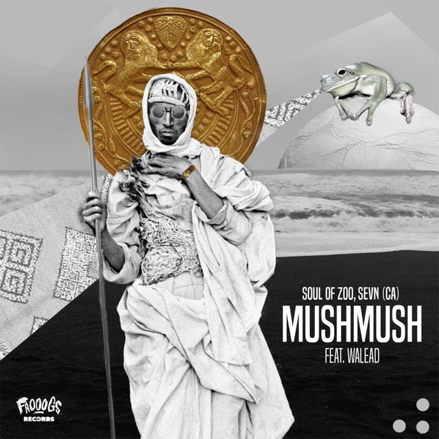 MushMush feat. Walead album art