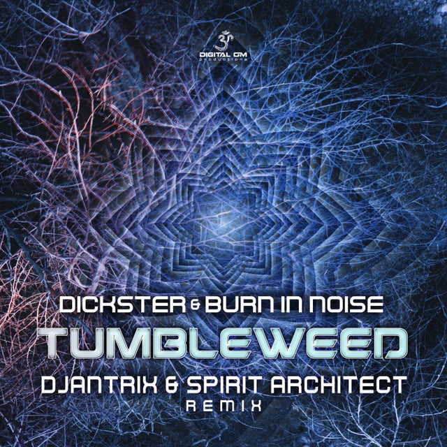 Tumbleweed - Djantrix & Spirit Architect Remix album art