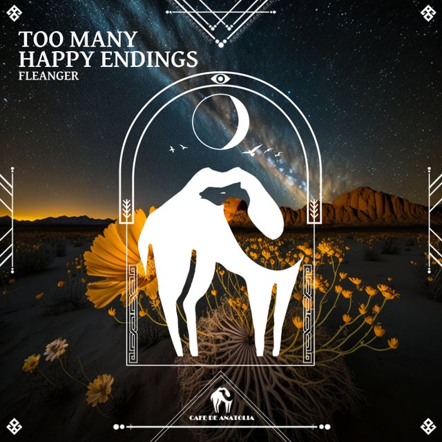Too Many Happy Endings album art