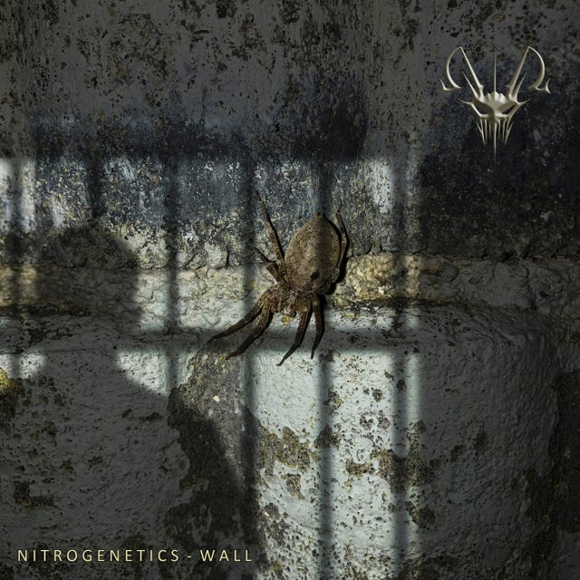 Wall album art