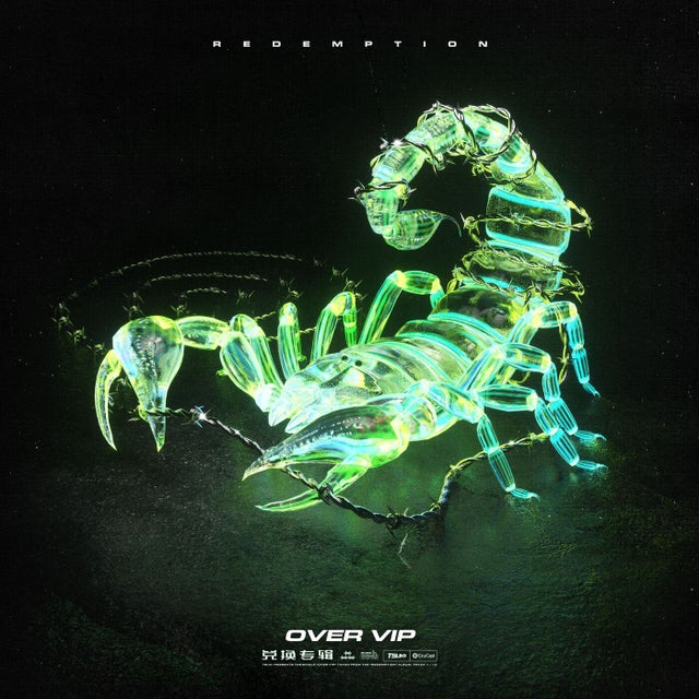Over VIP album art