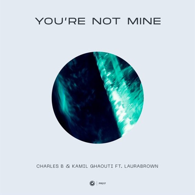 You're Not Mine feat. LauraBrown - Extended Mix album art