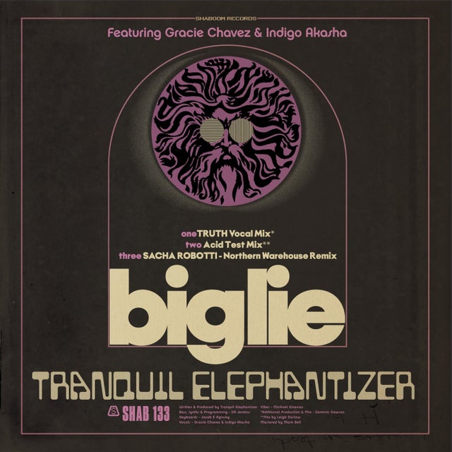 Big Lie - TRUTH VOCAL MIX album art