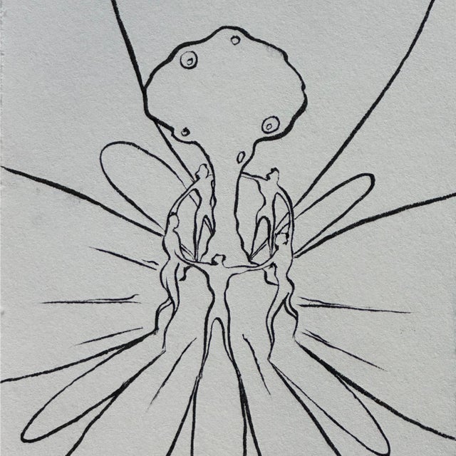 Canícula album art