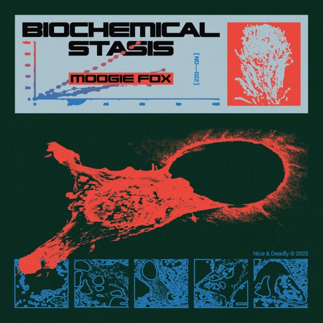 What Is It album art