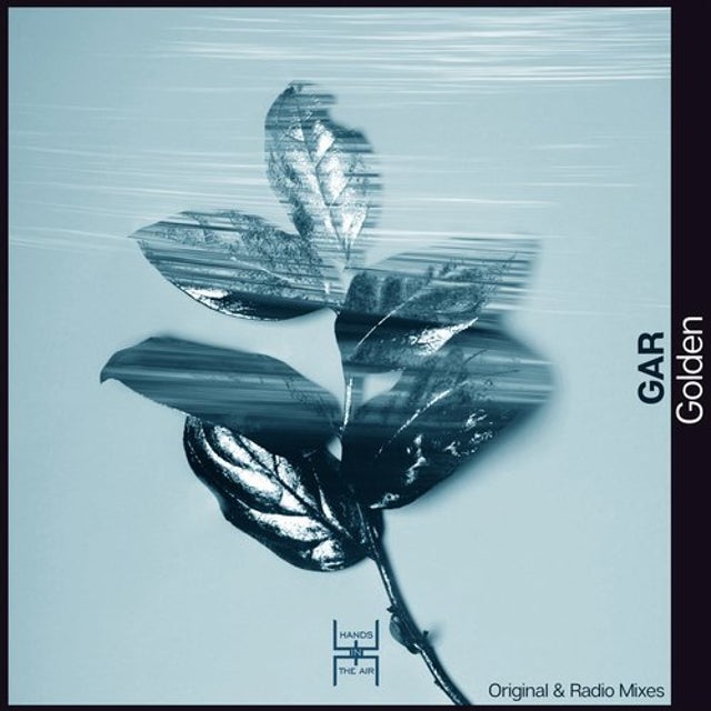 Golden album art