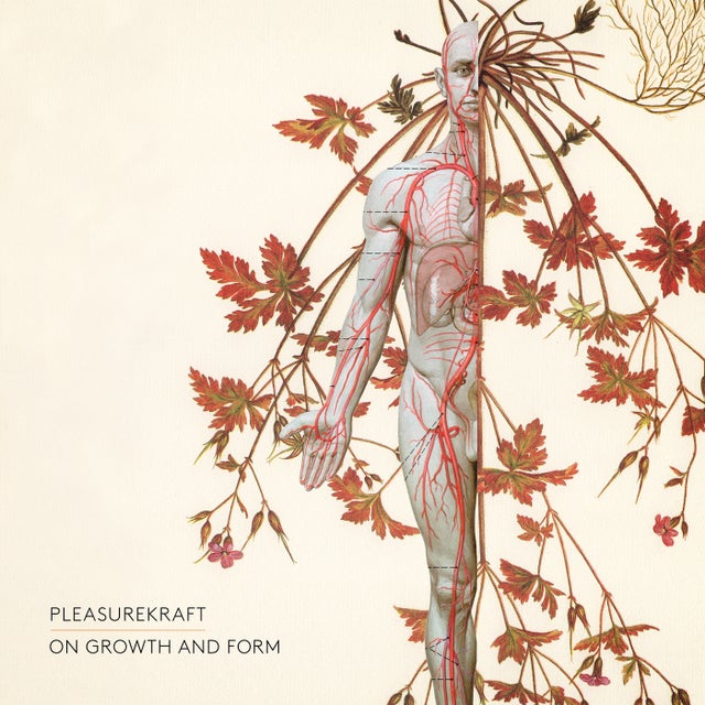 The Optimist album art