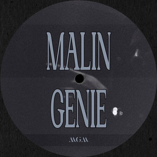 Aventijn album art