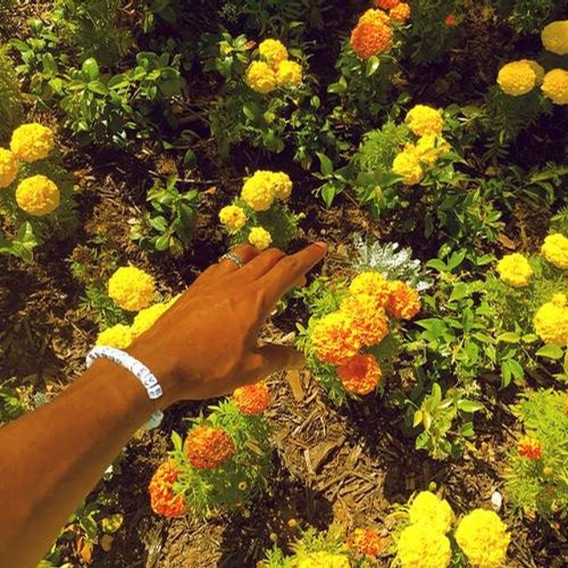Peach Fuzz album art