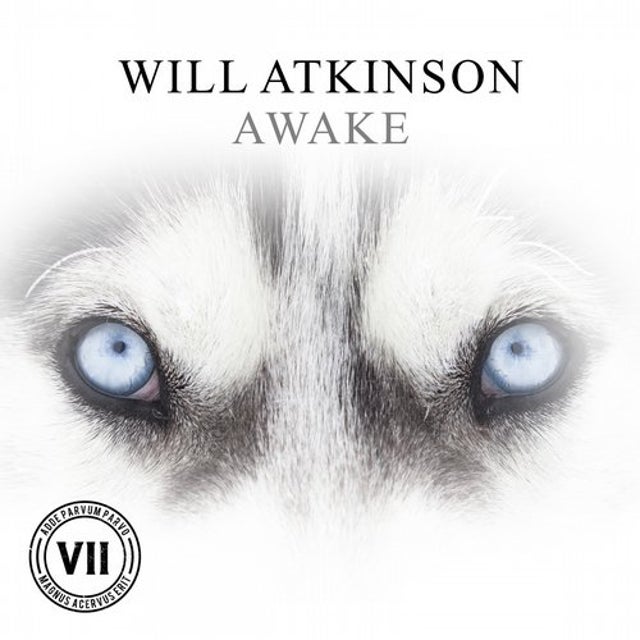 Awake album art