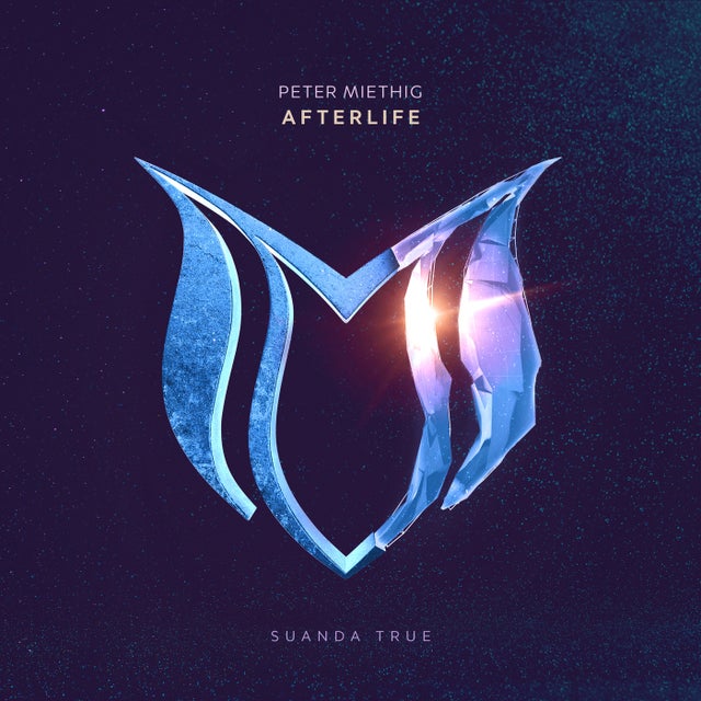 Afterlife - Extended Mix album art