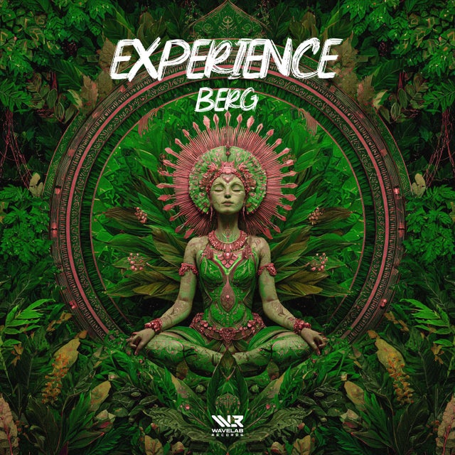 Experience album art